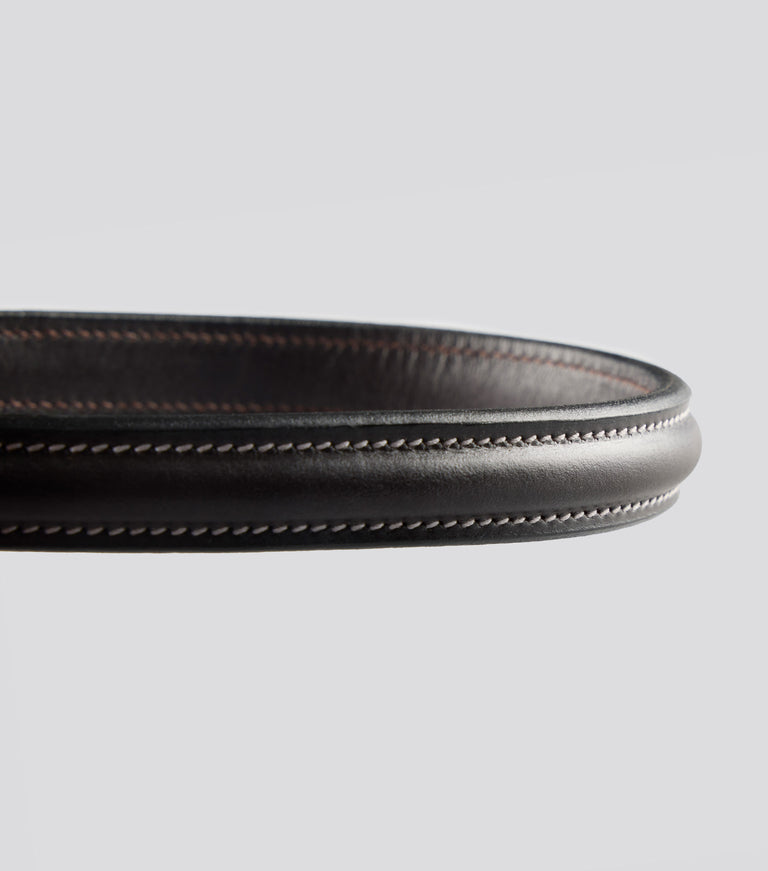 Raised browband for raised jumping bridle