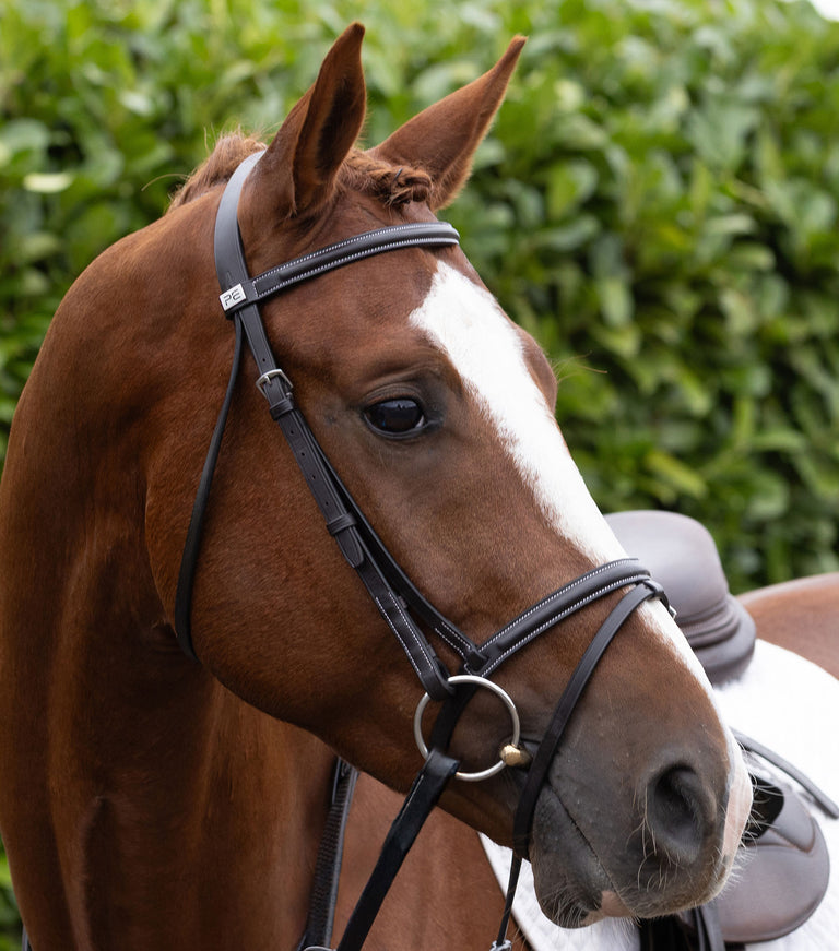 Raised browband for raised jumping bridle