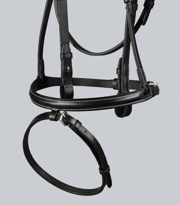 Raised Jumping Bridle