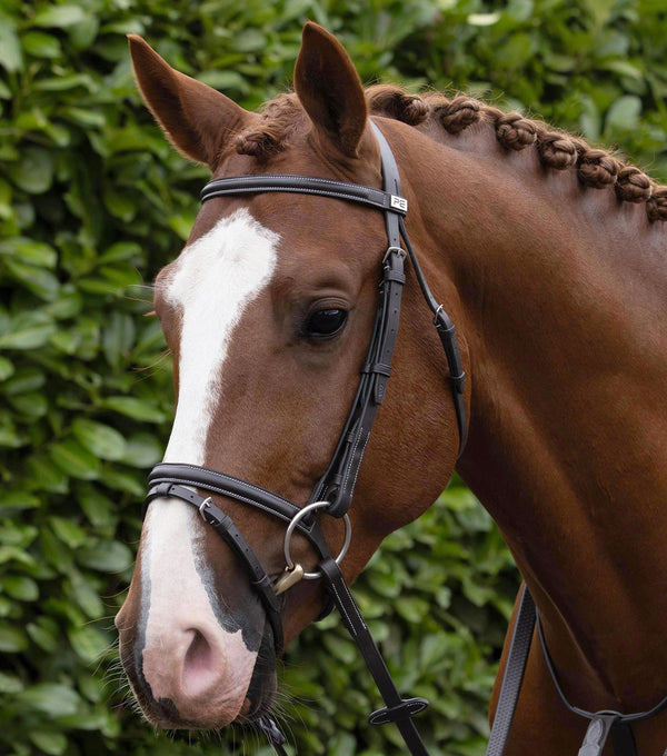 Raised Jumping Bridle