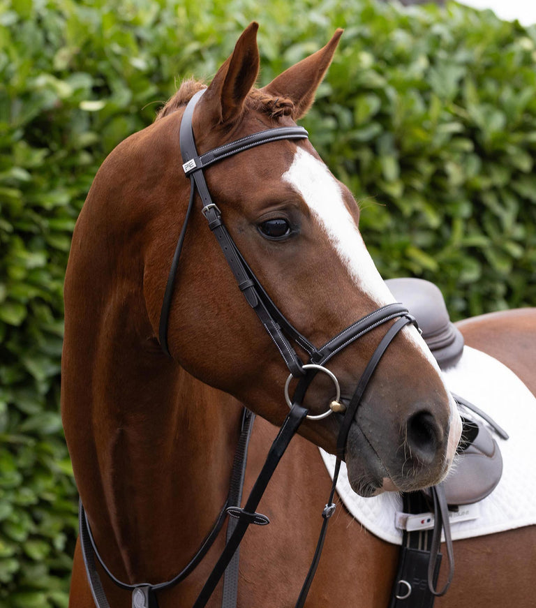 Raised Jumping Bridle