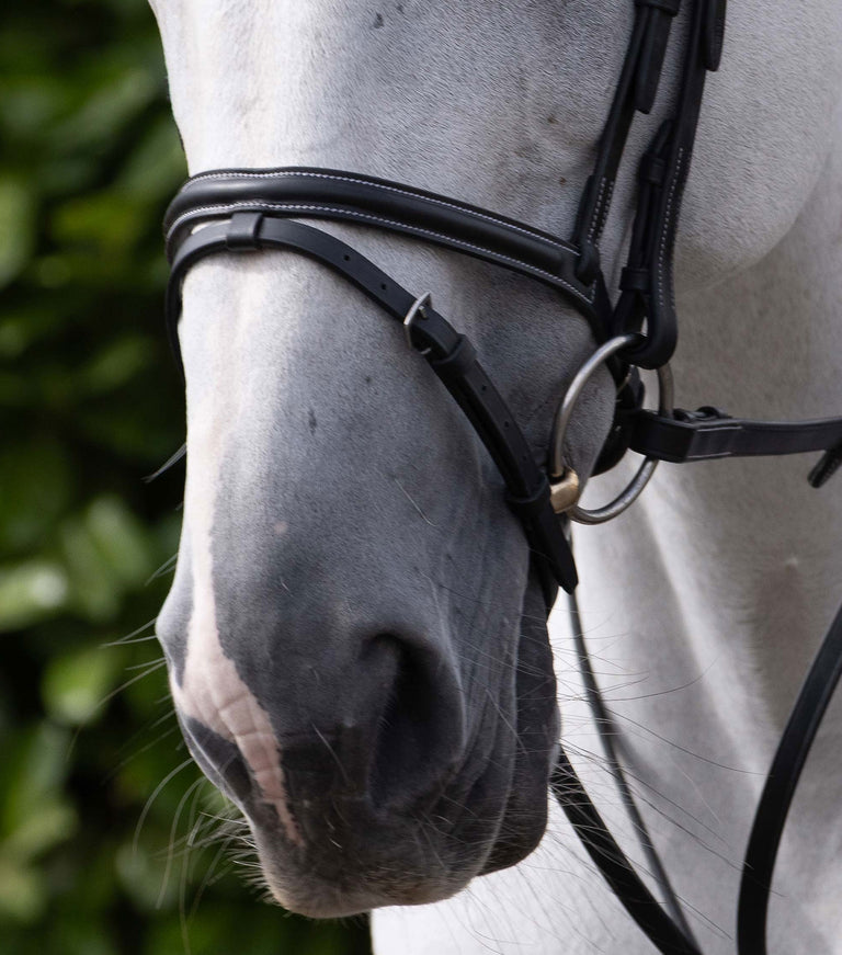 Raised Jumping Noseband