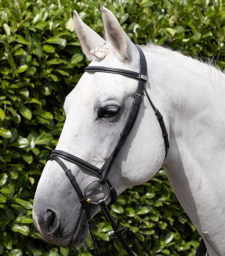 Raised Jumping Noseband