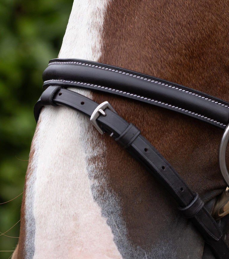Raised Jumping Noseband