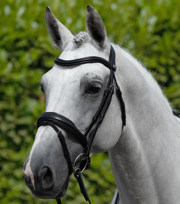 Rizzo Anatomic Snaffle Bridle with Flash