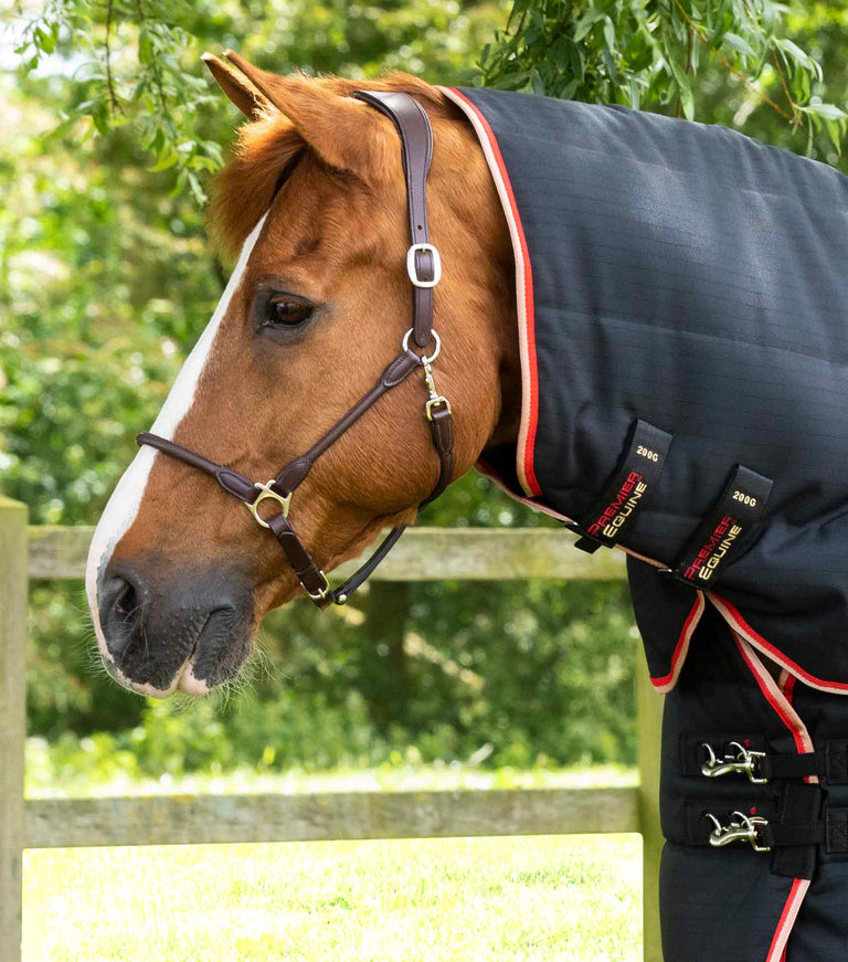 Stable Buster 200g Stable Rug with Neck Cover