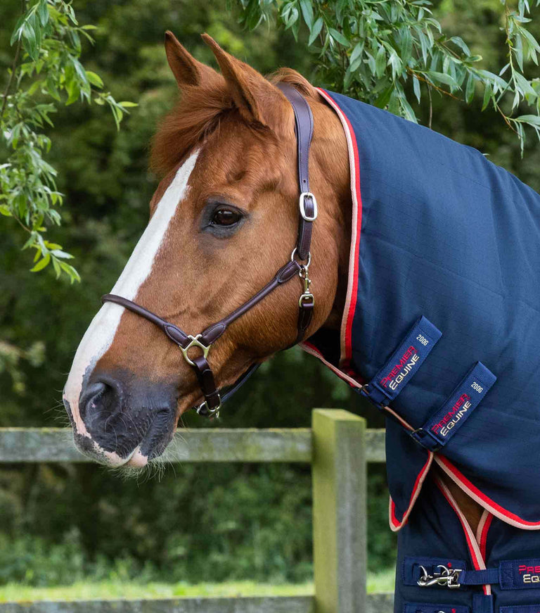 Stable Rug For Cobs Stable Buster 200g Stable Rug with Neck Cover Navy