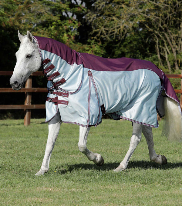Fly Rug Use Horse Fly Rugs — Durable and Effective Fly Protection