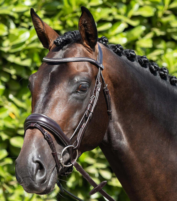 Stellazio Anatomic Snaffle Bridle with Flash