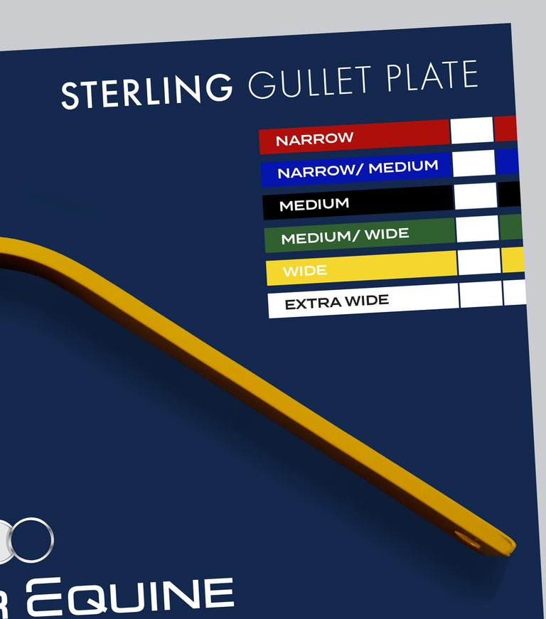 Bastia Gullet Plate