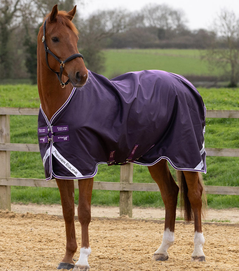 Stratus 600D Series 0g Original Turnout Rug Purple