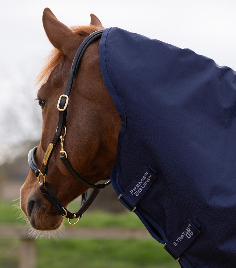 Stratus 600D Series 0g Turnout Rug with Classic Neck Cover Navy