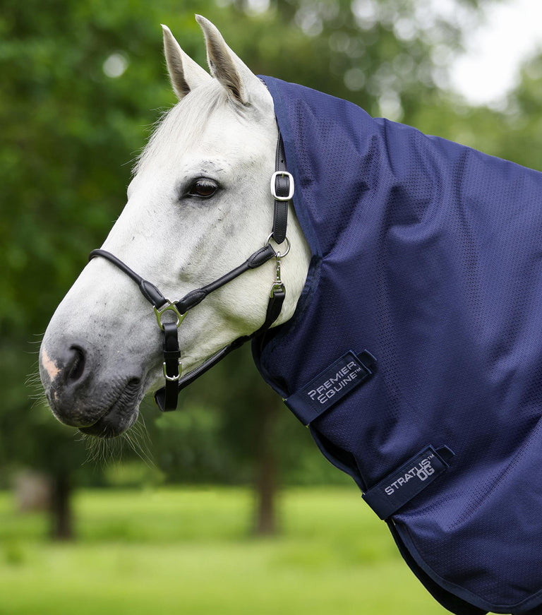 Stratus 600D Series 0g Turnout Rug with Classic Neck Cover Navy