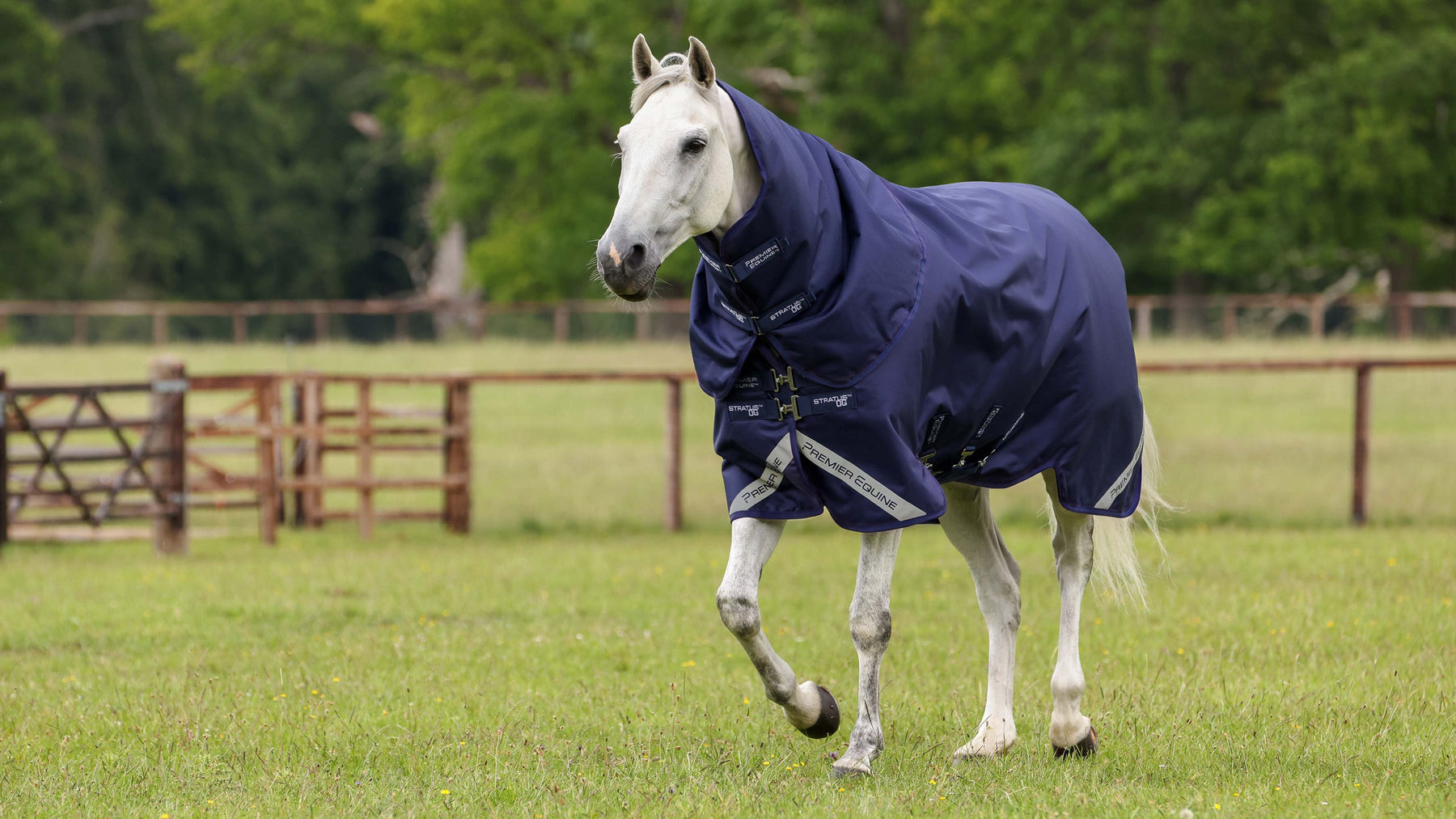 Premier Equine Stratus 600D waterproof turnout rug in navy