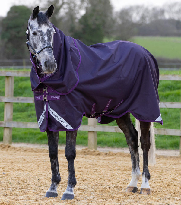 Stratus 600 series 0g turnout rug with classic neck cover