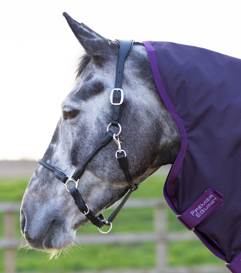 Stratus 600 series 0g turnout rug with classic neck cover