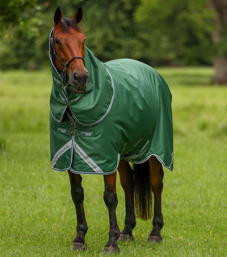 Premier Equine Stratus 600D turnout rug in green