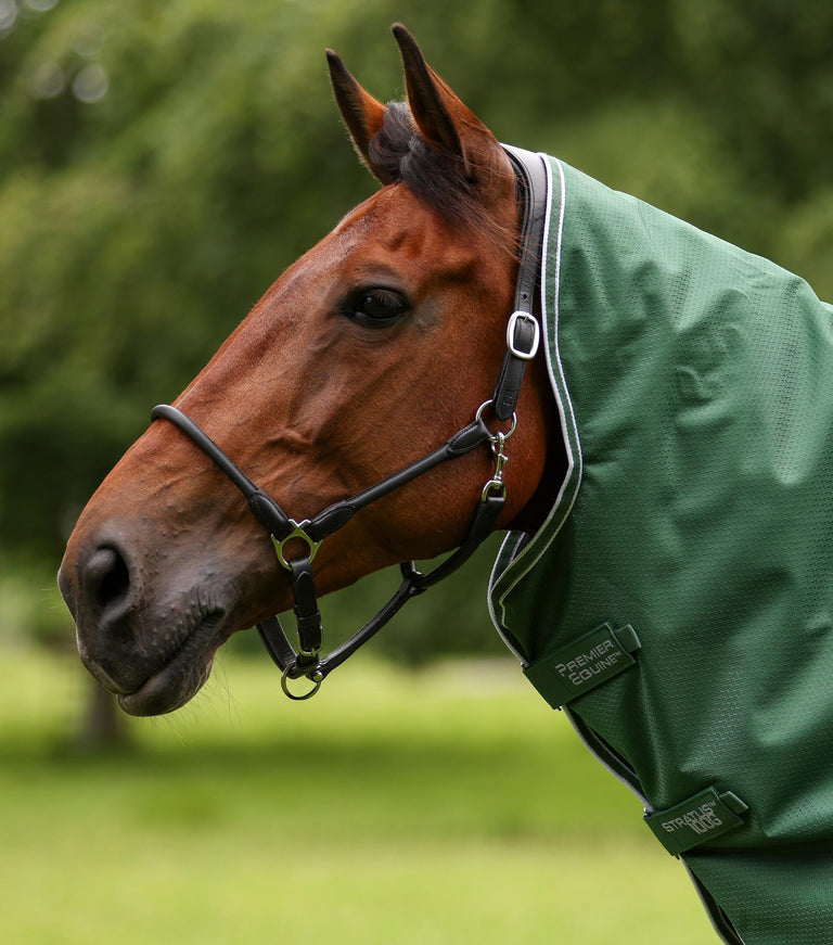 Stratus 600D Series 100g Turnout Rug with Classic Neck Cover Purple
