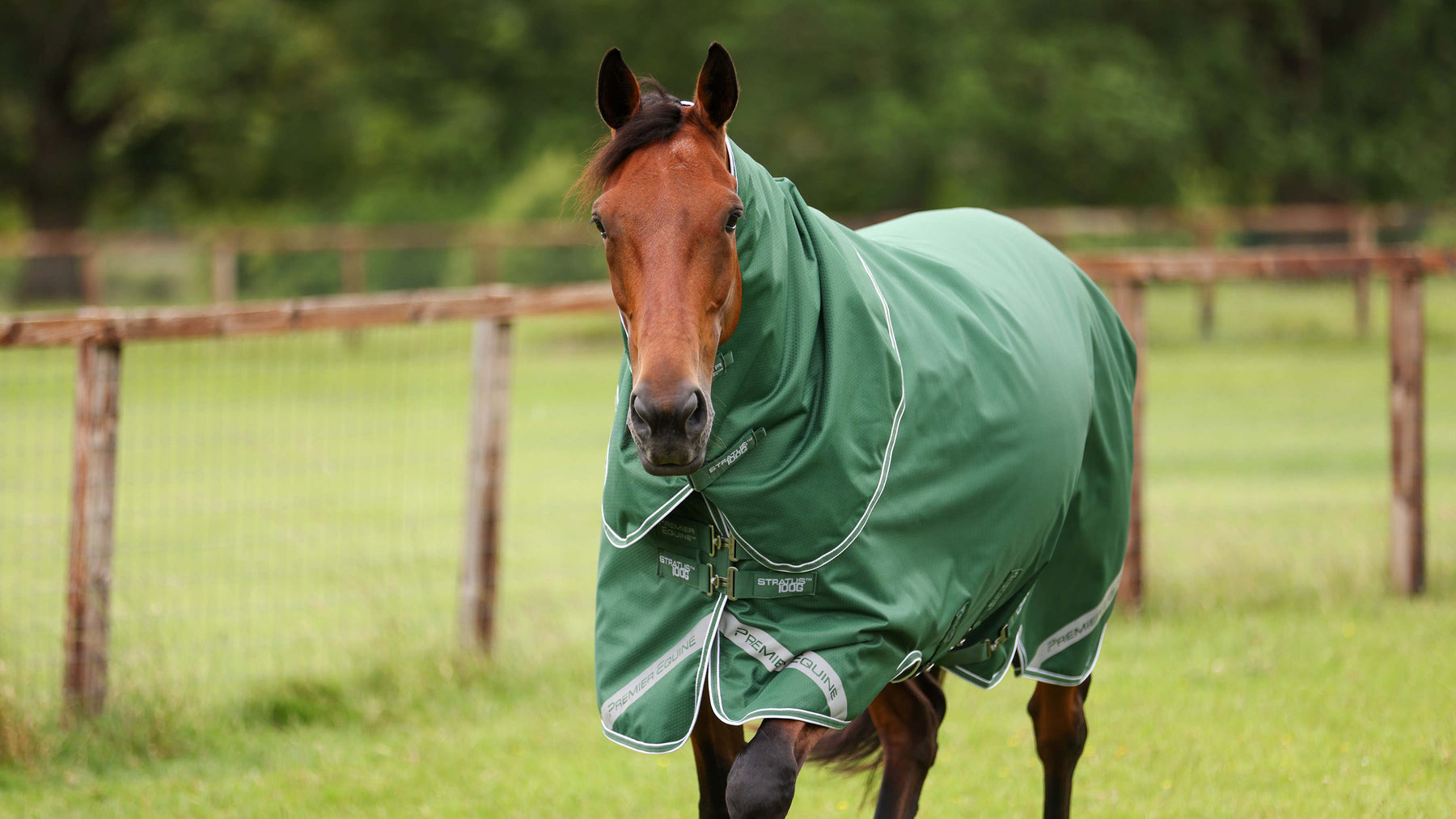 Premier Equine Stratus 600D Series 100g Turnout Rug in green