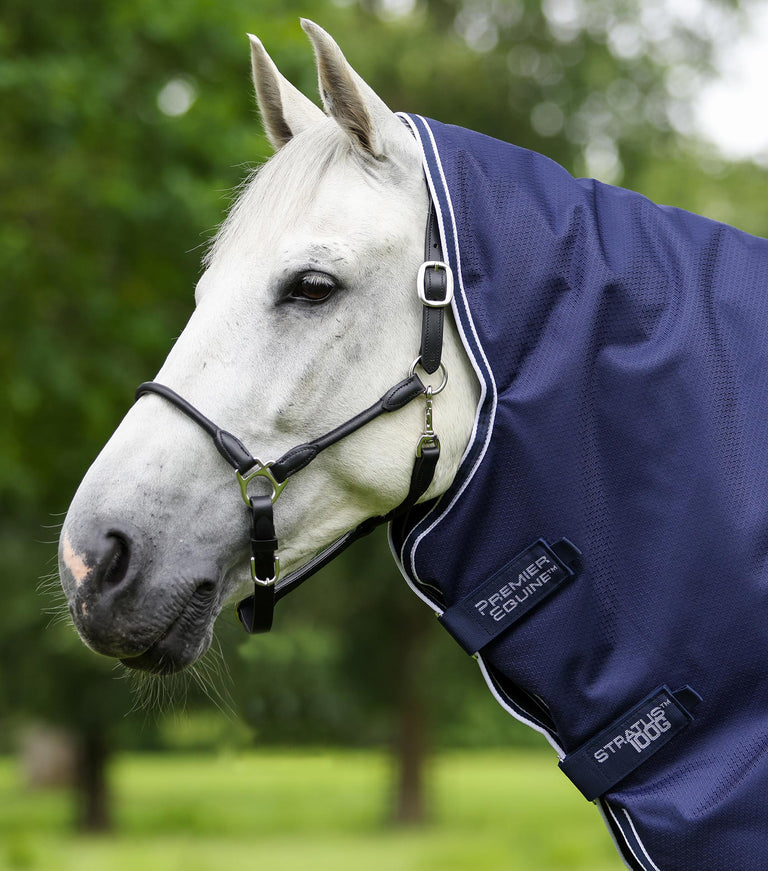 Stratus 600D Series 100g Turnout Rug with Classic Neck Cover Purple
