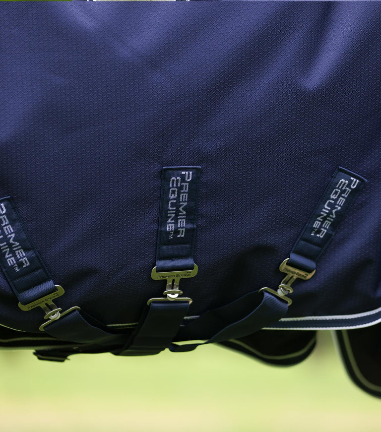 Stratus 600D Series 100g Turnout Rug with Classic Neck Cover Purple