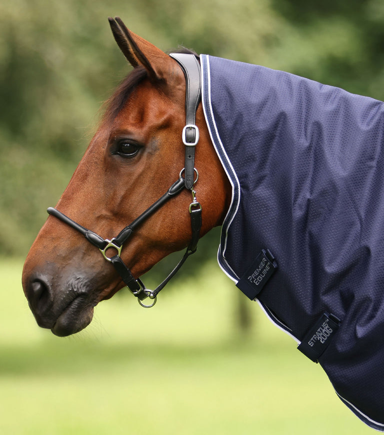 Stratus 600 Series 200 Turnout Rug