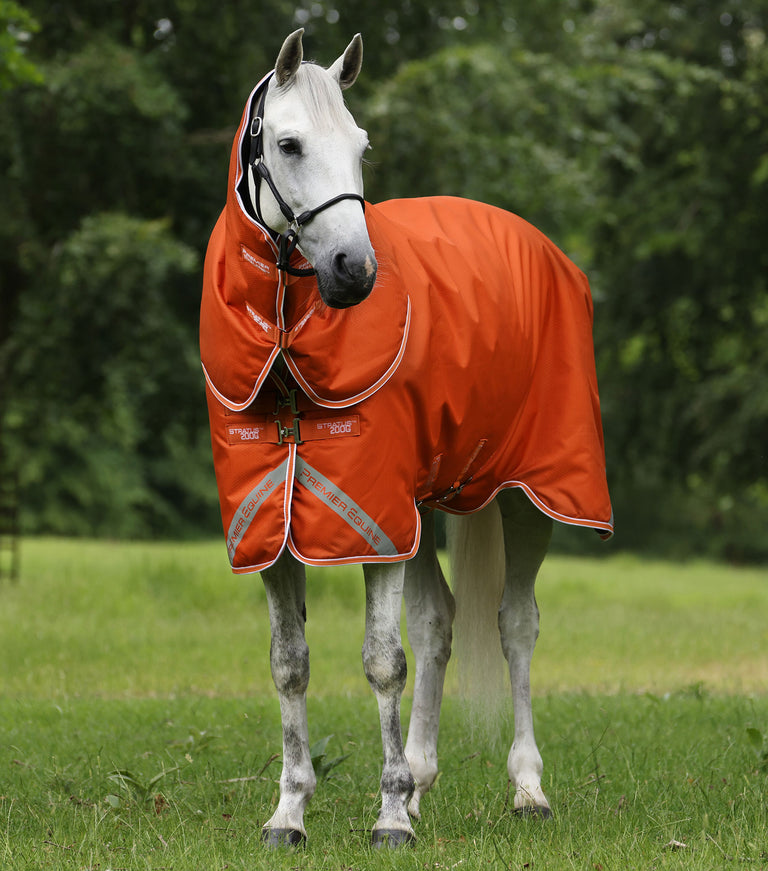 Stratus 600 Series 200 Turnout rug