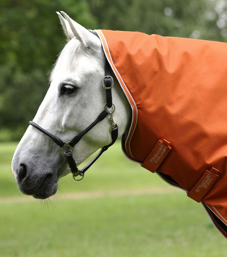 Stratus 600 Series 200 Turnout rug