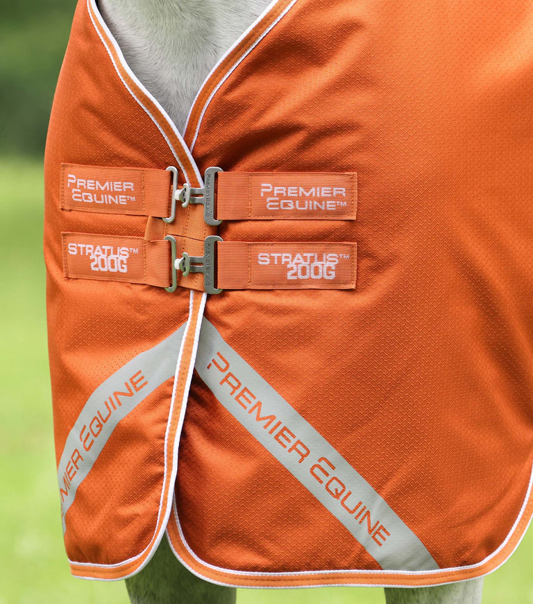 Stratus 600 Series 200 Turnout rug