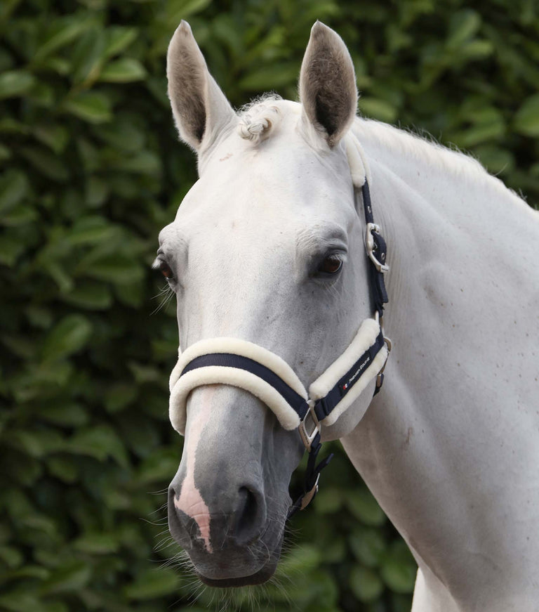 Techno wool head collar with rope