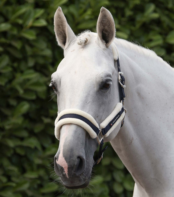 Techno wool head collar with rope