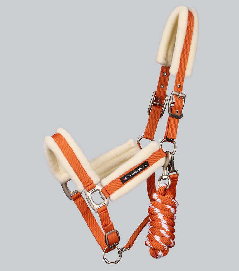 Techno wool head collar with rope