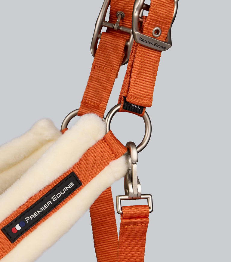 Techno wool head collar with rope