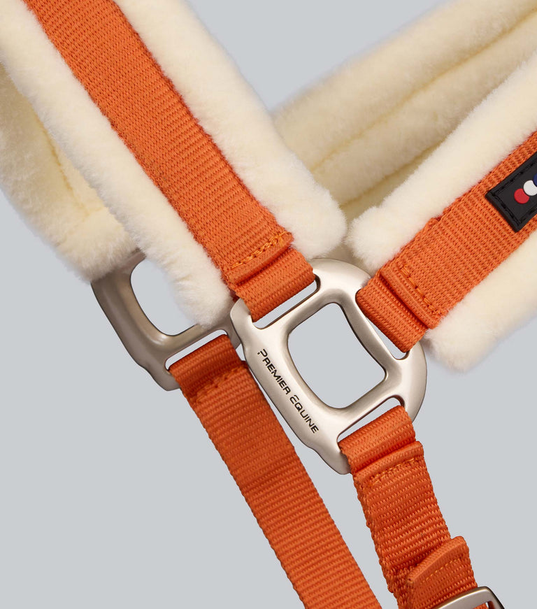 Techno wool head collar with rope