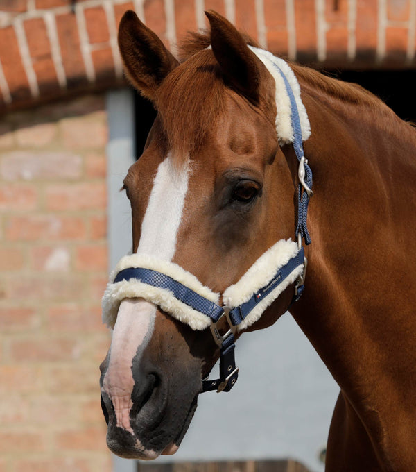 Techno Wool Lined Head Collar