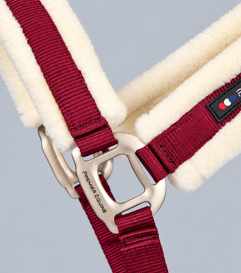 Techno wool head collar with rope