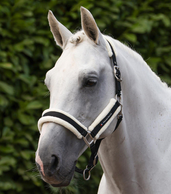 Techno wool head collar with rope