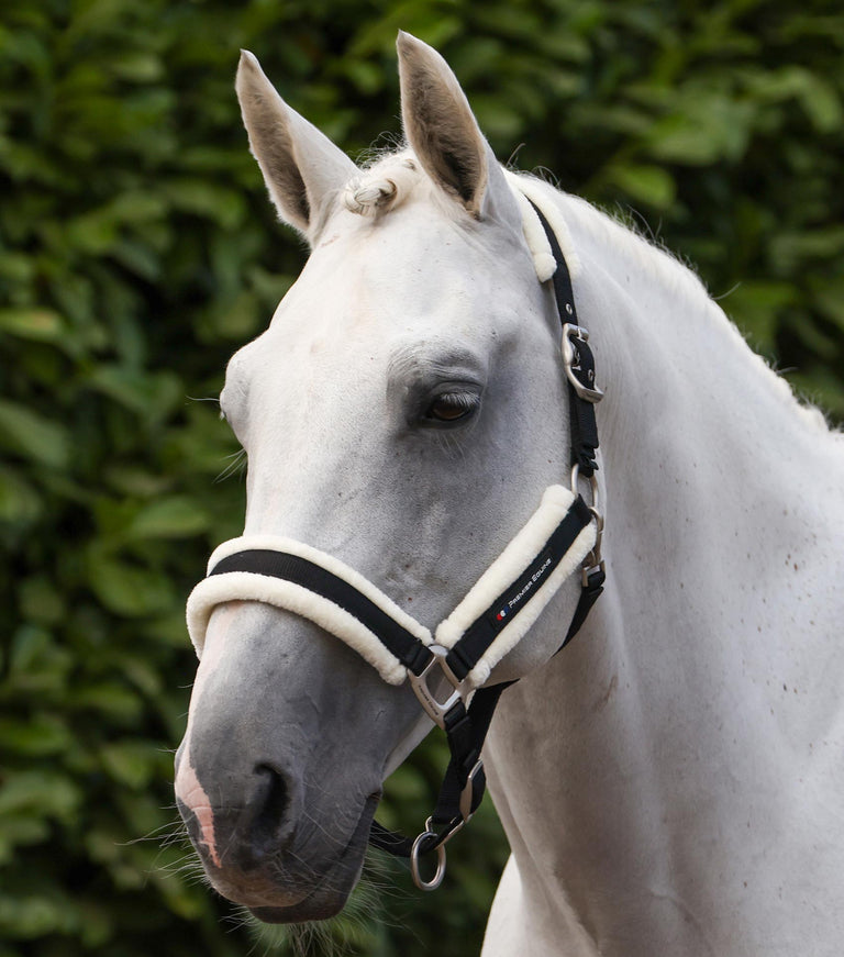 Techno wool head collar with rope