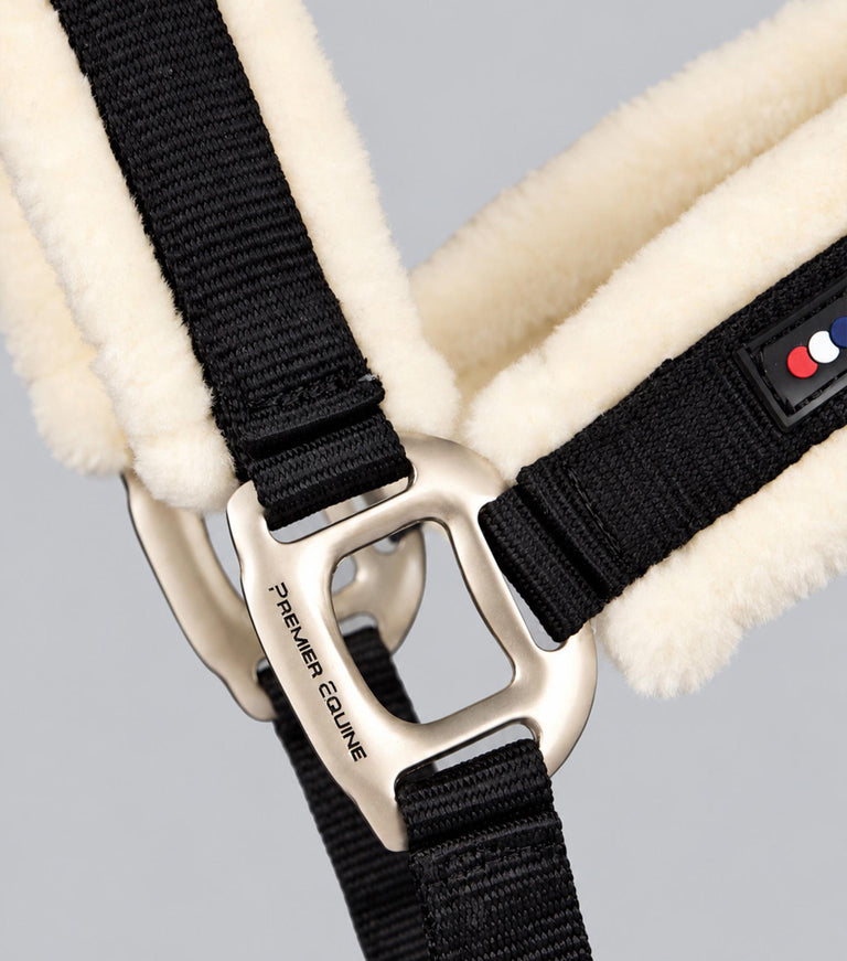Techno wool head collar with rope