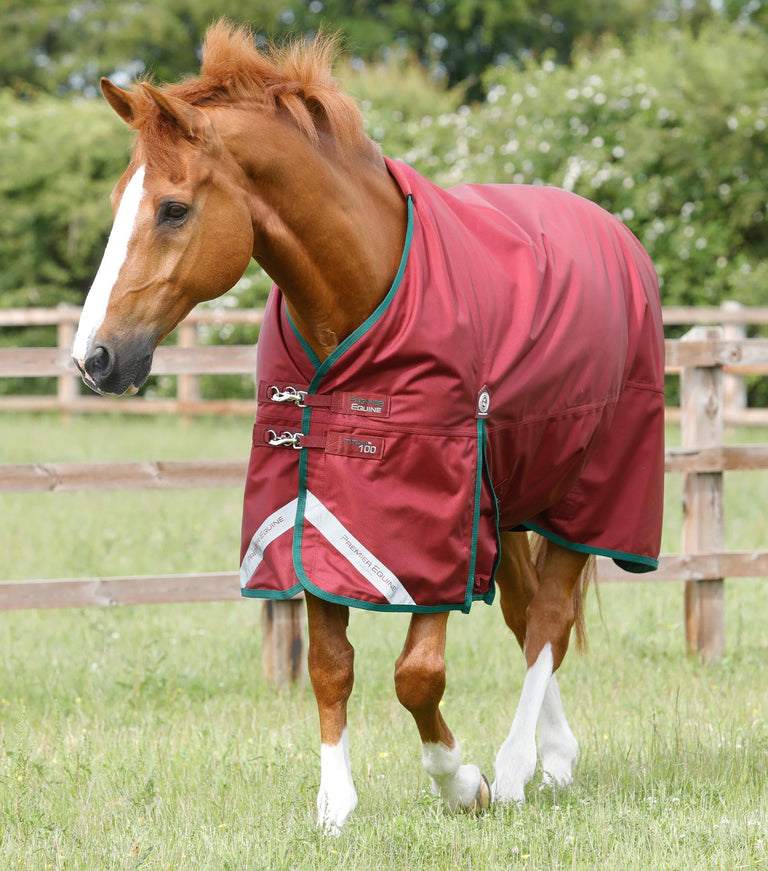 Titan 100g Original Turnout Rug Premier Equine Int. Ltd