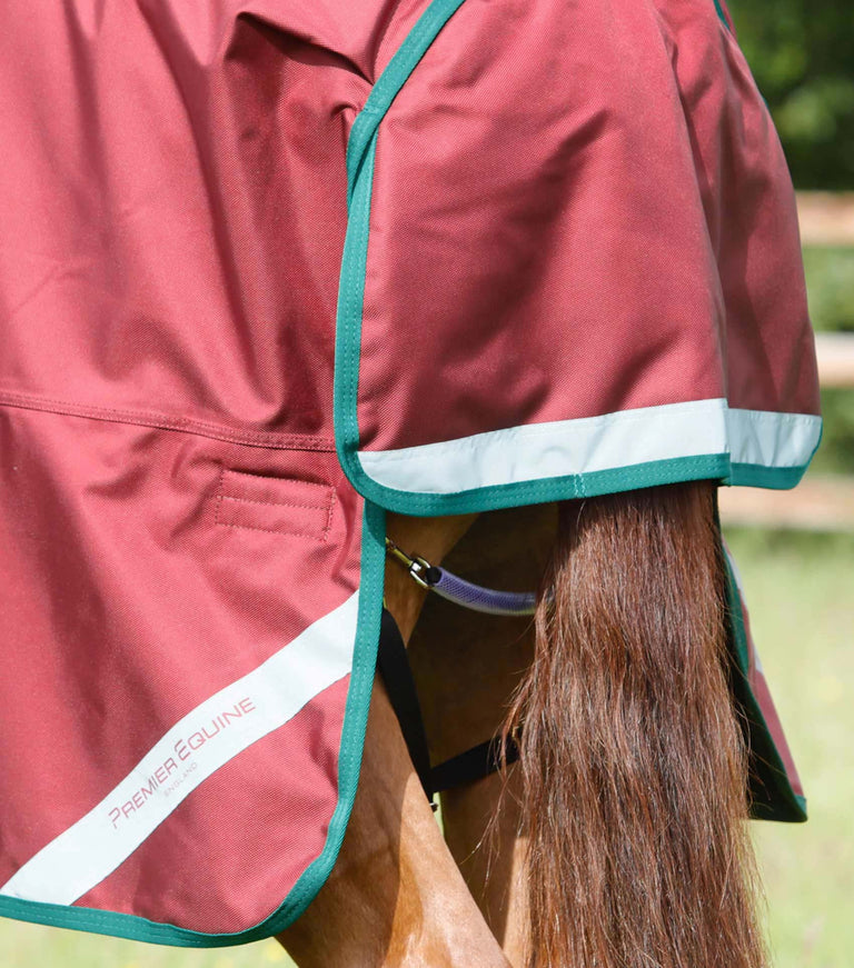 Titan 100g Original Turnout Rug