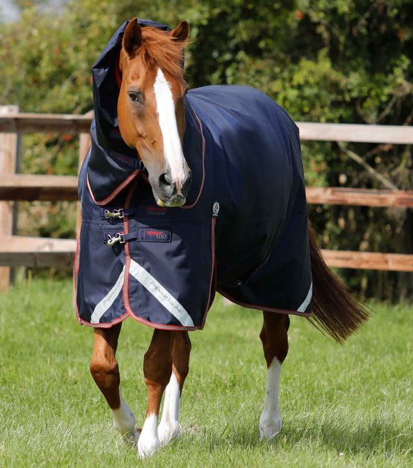 Titan 100g Turnout Rug with Snug-Fit Neck Cover