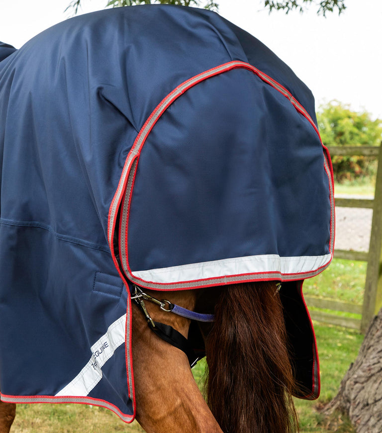 Titan 100g Turnout Rug with Snug-Fit Neck Cover