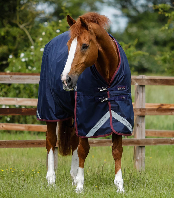 Titan 200g Original Turnout Rug