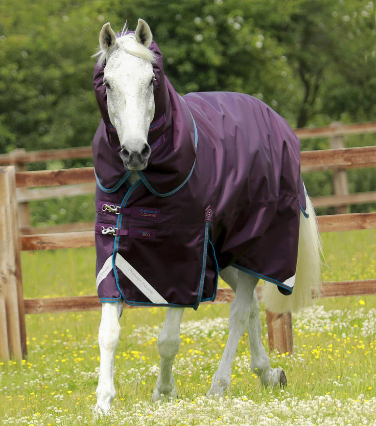 MARKED - Titan 200g Turnout Rug with Snug-Fit Neck Cover