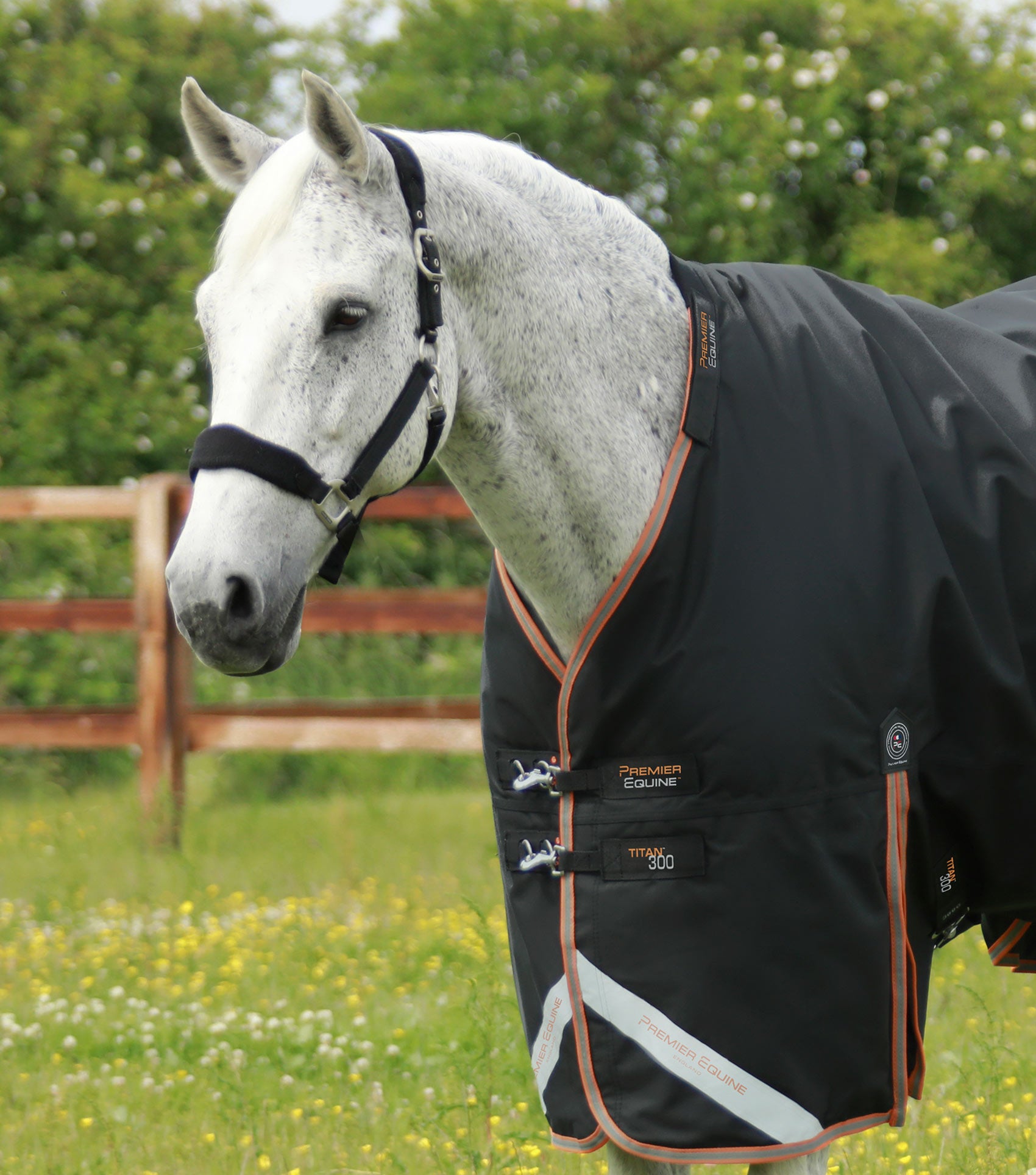 Titan 300g Turnout Rug with SnugFit Neck Cover Premier Equine Int. Ltd.