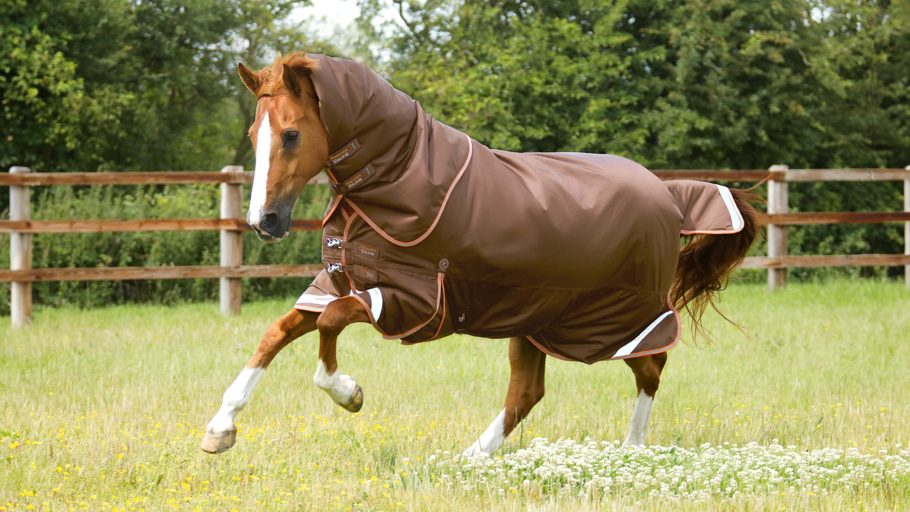 Premier Equine Titan turnout rug in brown