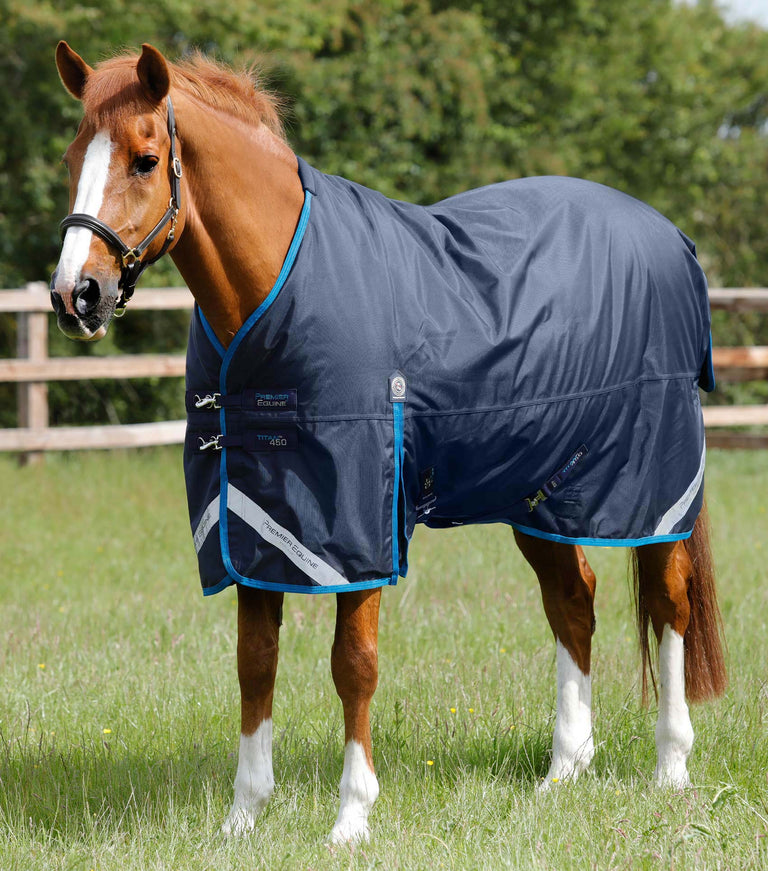 Titan 450g Original Turnout Rug