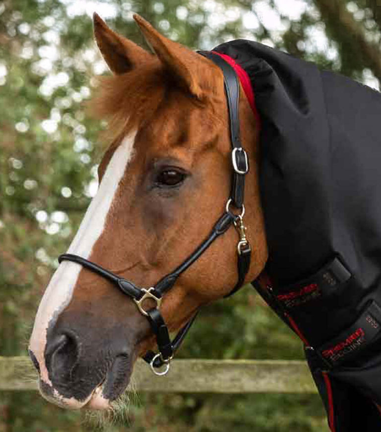 Titan 450 Turnout Rug with Neck Cover