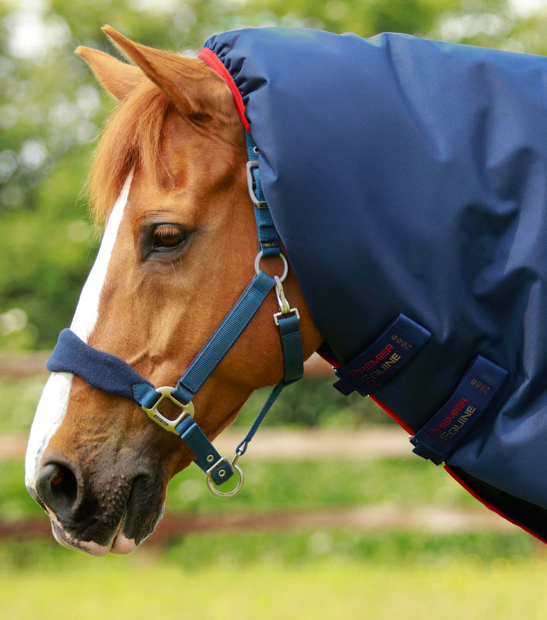 Titan 450 Turnout Rug Neck Cover (200g Fill)